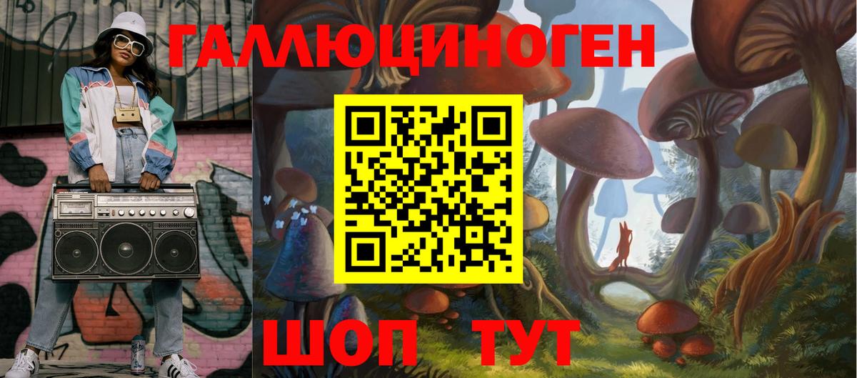 Волгодонск  Псилоцибиновые грибы GOLDEN TEACHER  Вход с VPN  Галлюциногенные грибы ЛСД 